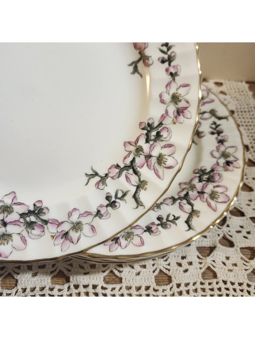 5- Royal Worcester 8" Lunch Plates Pomerina - Rare Print - Pink Floral Vintage